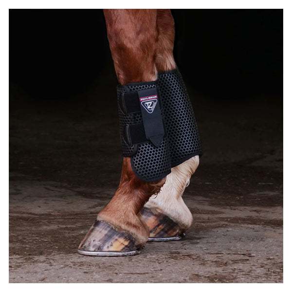 Horse wearing Equilibrium Tri-Zone All Sports Boot in Black