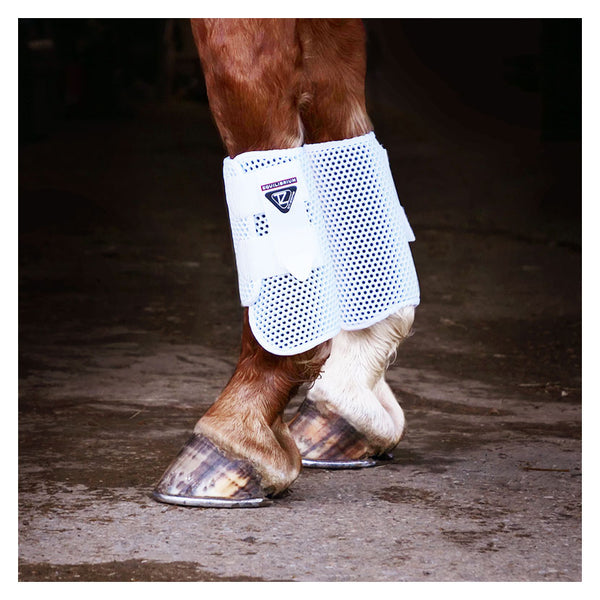 Horse wearing Equilibrium Tri-Zone All Sports Boot in White