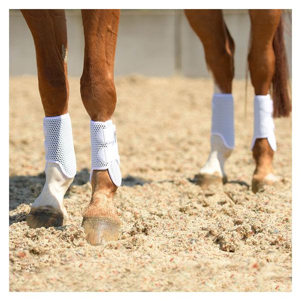 Horse wearing full set of Equilibrium Tri-Zone All Sports Boot in White