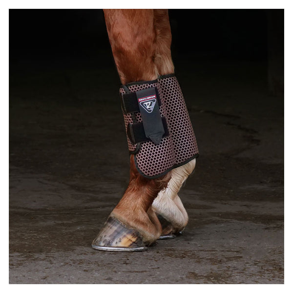Horse wearing Equilibrium Tri-Zone All Sports Boot in Brown