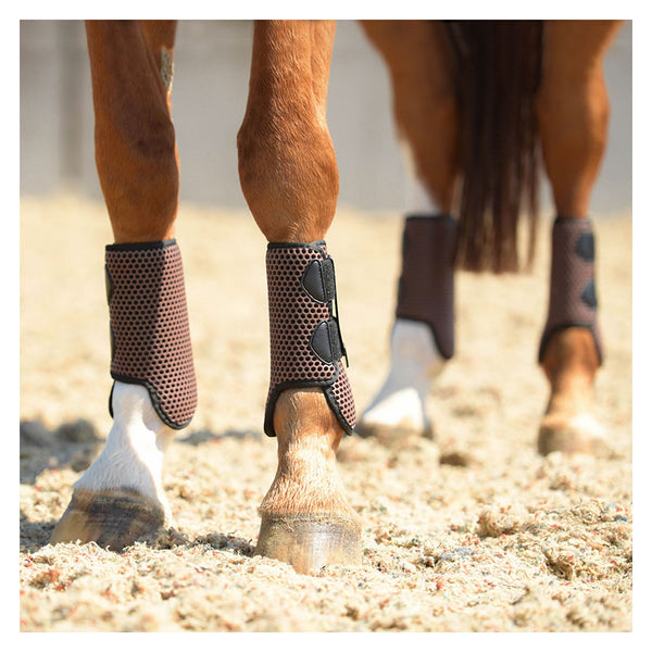 Horse wearing full set of Equilibrium Tri-Zone All Sports Boot in Brown