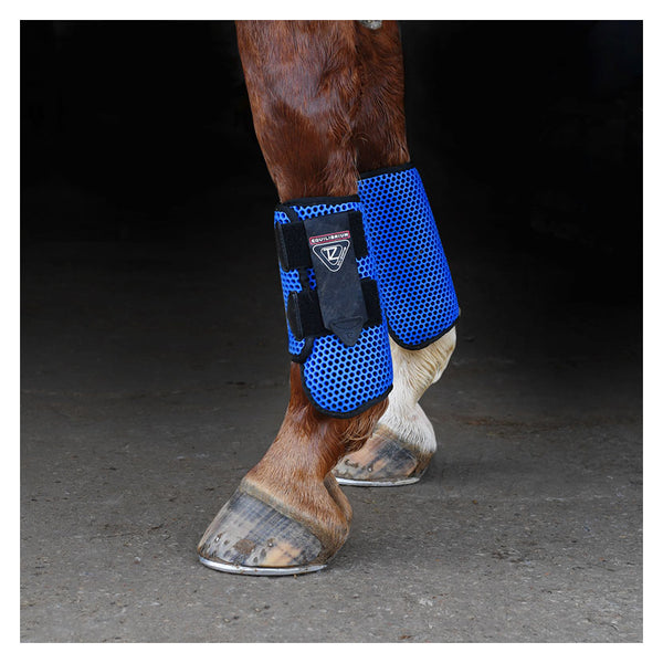 Horse wearing Equilibrium Tri-Zone All Sports Boot in Royal Blue