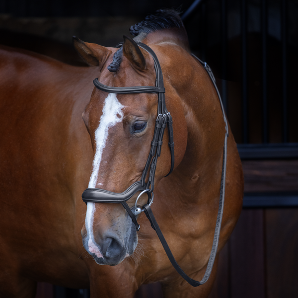 Velociti Rapida Ergonomic Flash Bridle